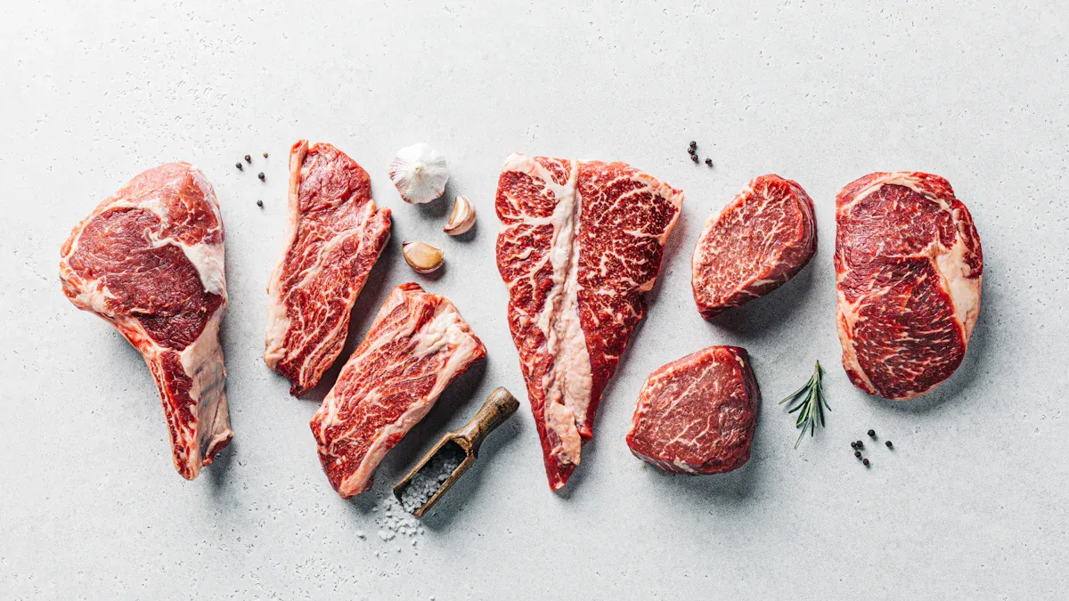 Carnivore Diet Results