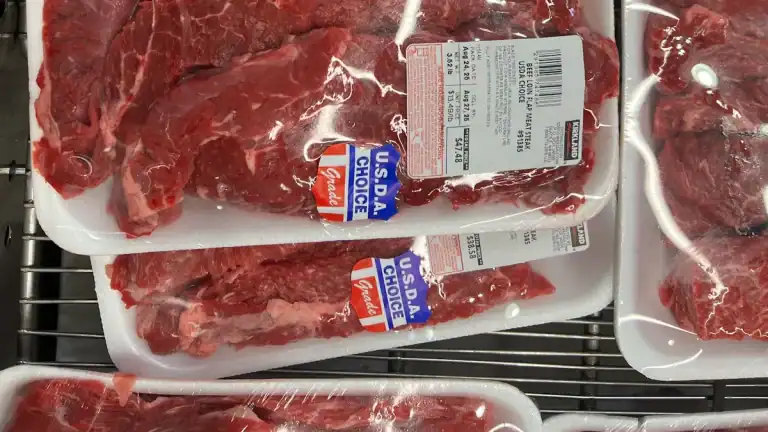 Carnivore Diet for Beginners: Step-by-Step Guide to Starting an All-Meat Lifestyle