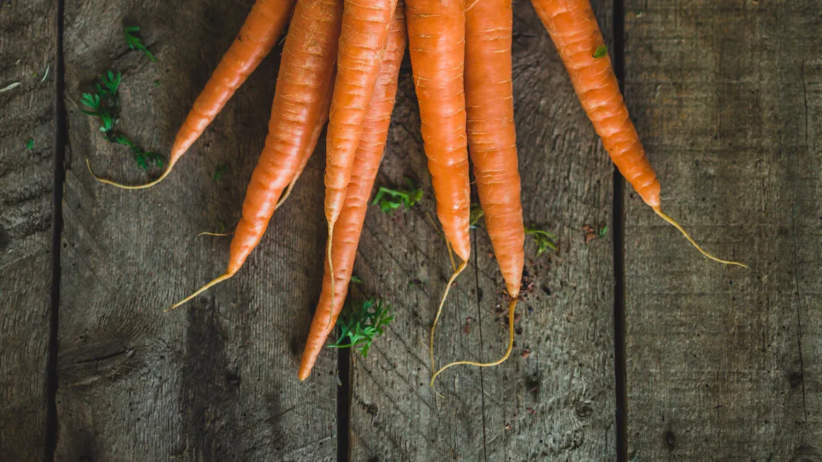 Top Foods High in Vitamin A