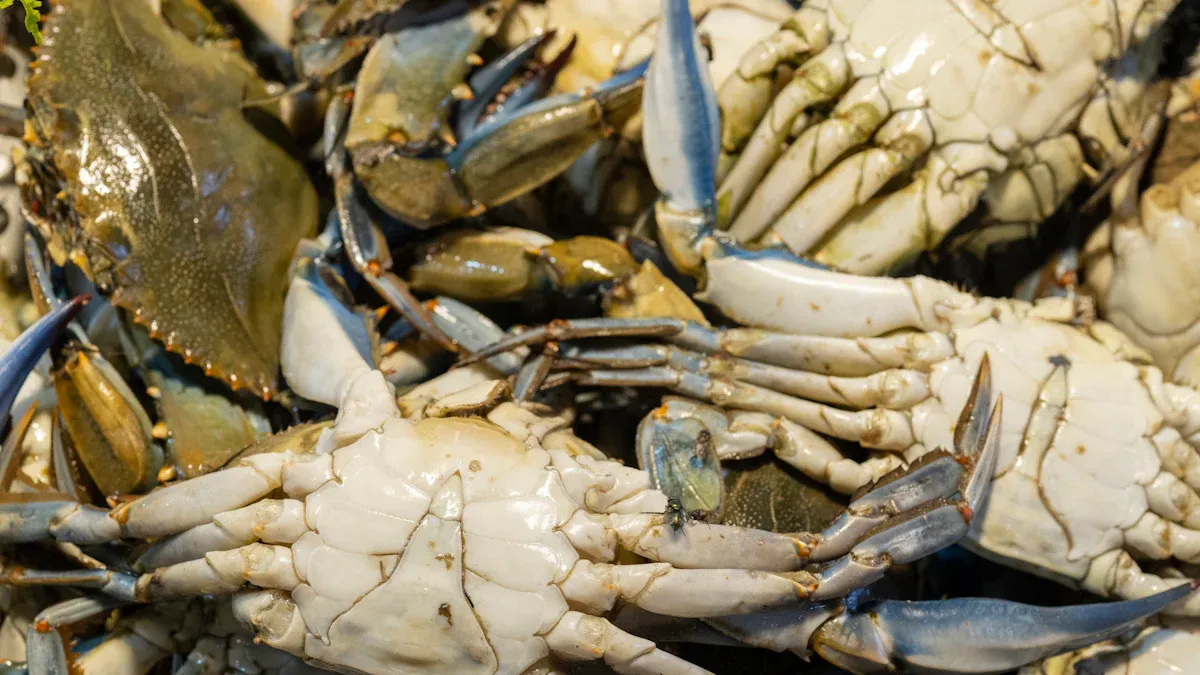 Crab Health Benefits