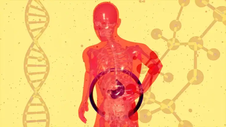 Kidney Pain Location Chart: Instantly Find Organ Pain