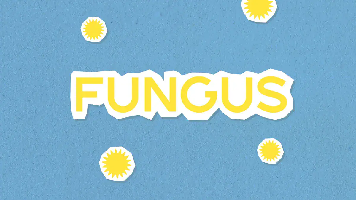 Understanding Candidiasis