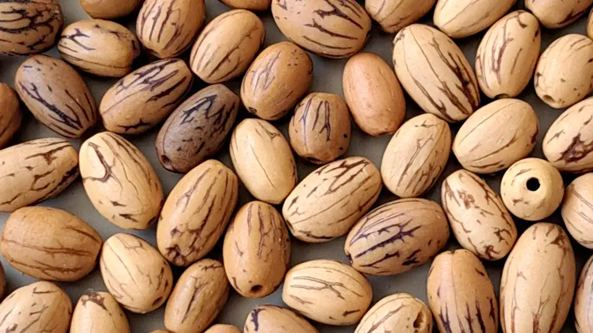 Pecan Nutritional Profile