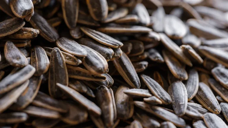 Oxalate Food Chart: Avoid These High-Oxalate Foods