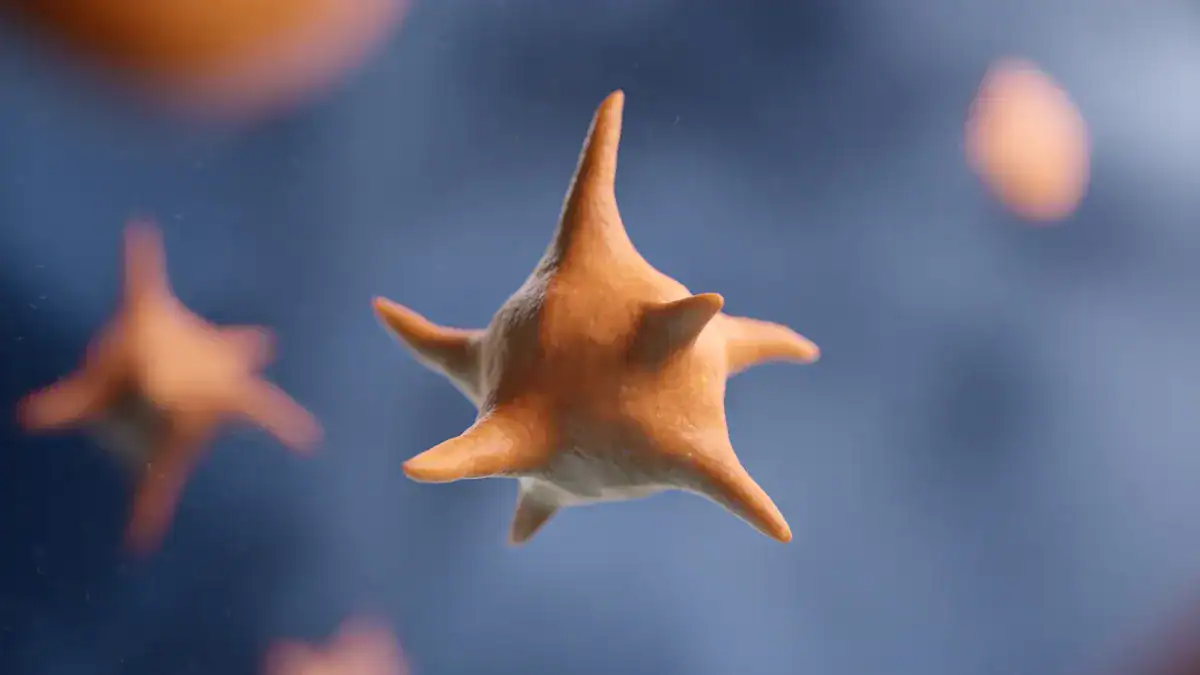 Understanding High MPV