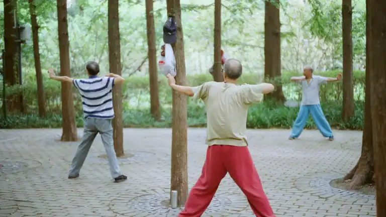 Essential Tai Chi Moves for Beginners