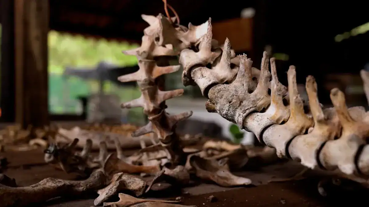 Understanding Spinal Stenosis and Exercise