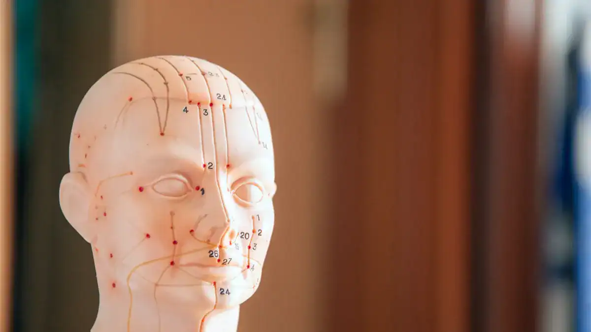 What are Meridians of the Body