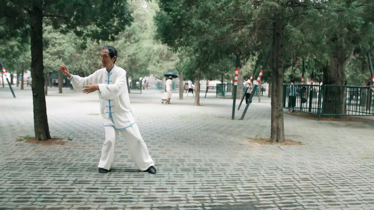 Understanding Basic Tai Chi Moves