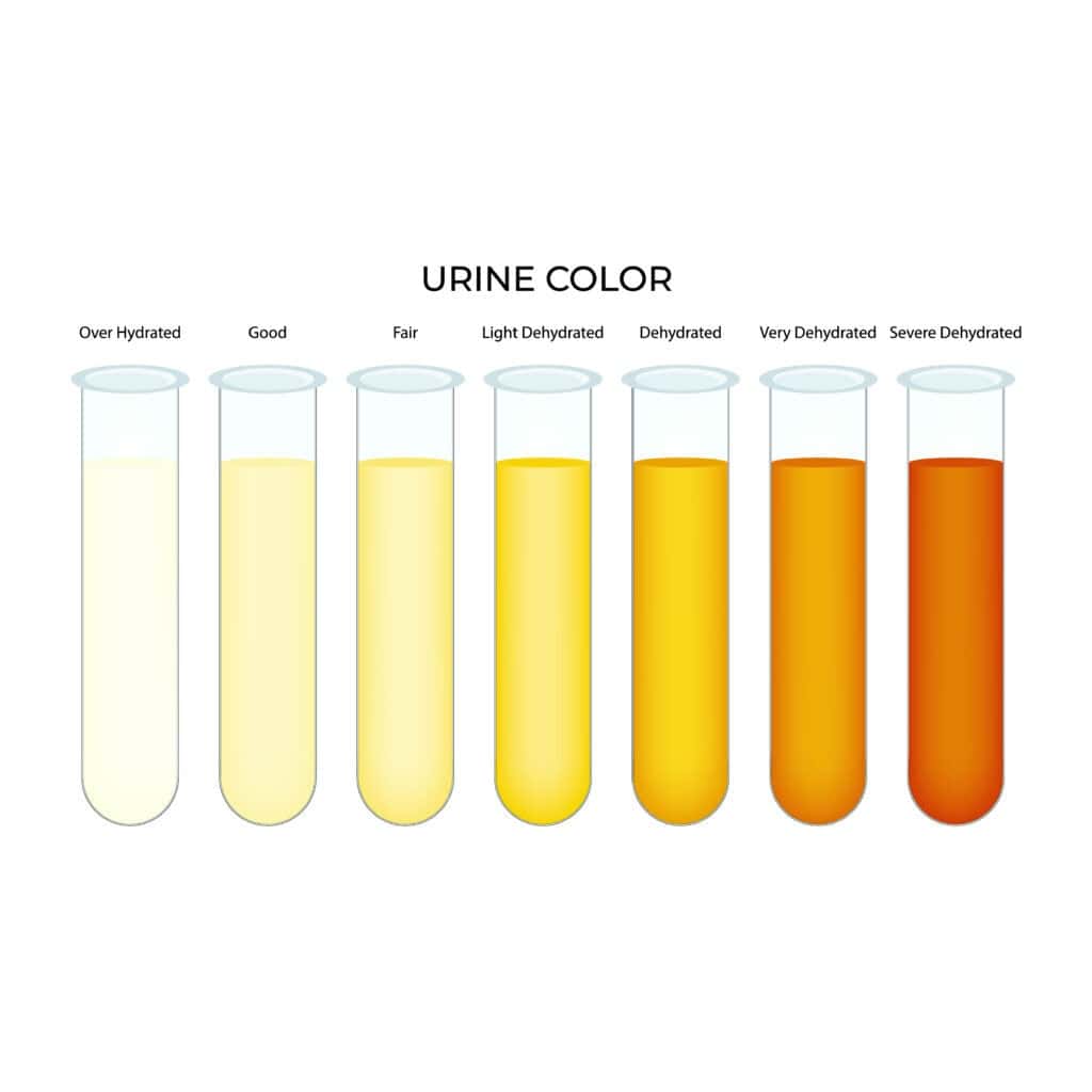 Urine Color Chart