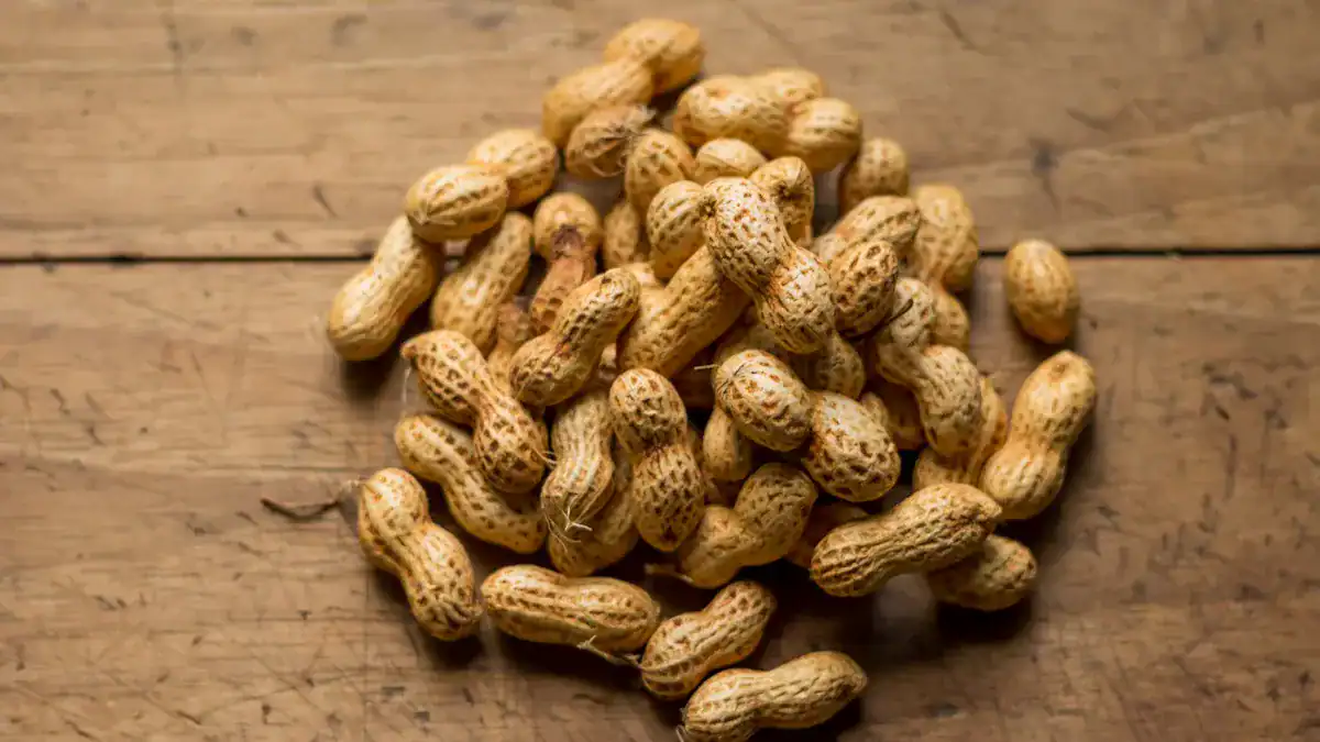 Are Peanuts Good For You? Protein, Healthy Fats, and Facts
