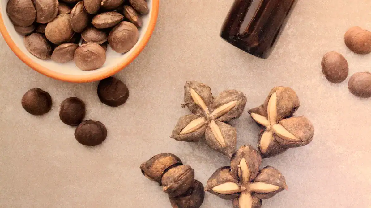 What Are Sacha Inchi Nuts