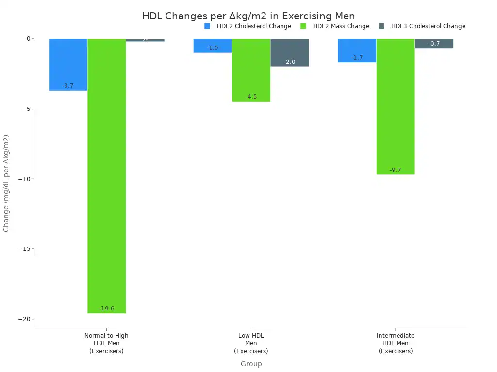 A grouped bar chart showing the change in HDL2 cholesterol, HDL2 mass, and HDL3 cholesterol per change in BMI for normal-to-high, low, and intermediate HDL men who are exercisers. All values are negative, indicating a decrease.