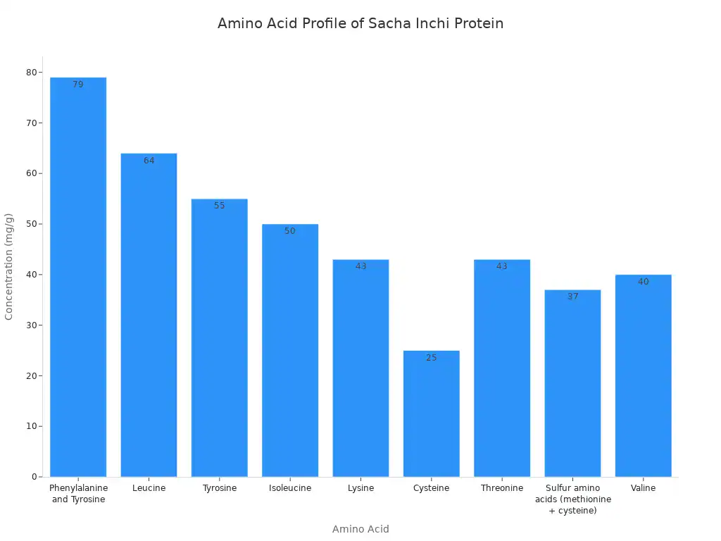 A bar chart showing the concentration of various amino acids in Sacha Inchi protein. Phenylalanine and Tyrosine have the highest concentration at 79 mg/g, followed by Leucine at 64 mg/g.