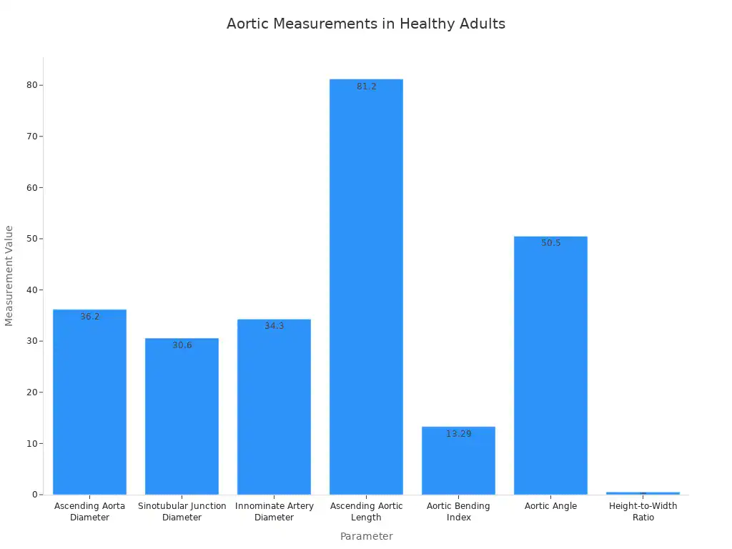 A bar chart showing median measurements for various aortic parameters in healthy adults. Parameters include diameters, length, bending index, angle, and height-to-width ratio.