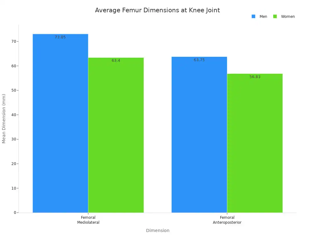A bar chart comparing average femoral dimensions (Mediolateral and Anteroposterior) between men and women at the knee joint.