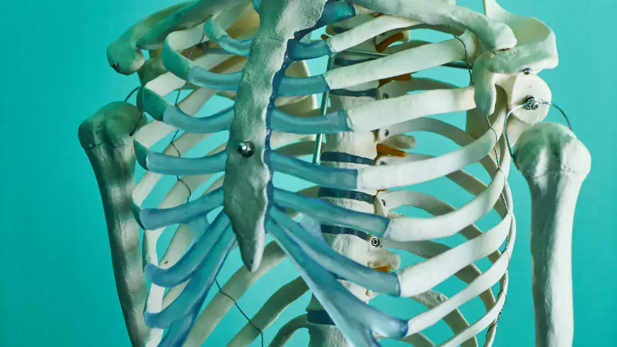 Mid Back Pain: Causes, Relief, and When to Worry