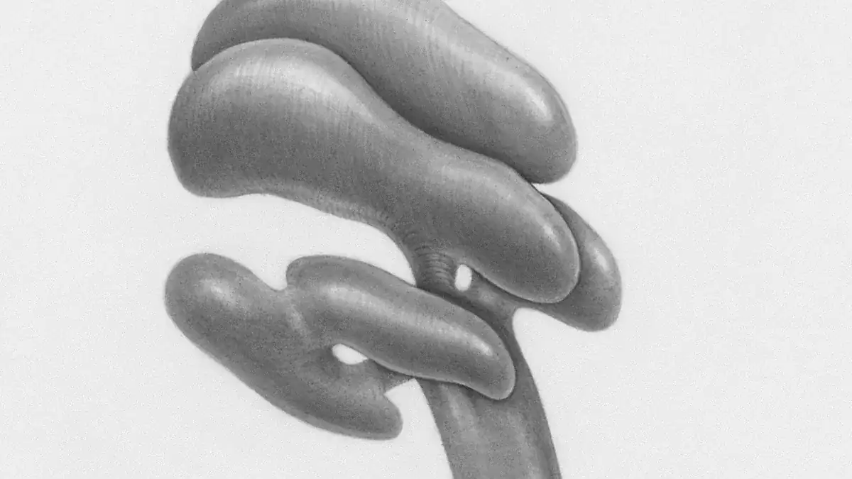 Enlarged Prostate (BPH): What the Prostate Size Chart Shows