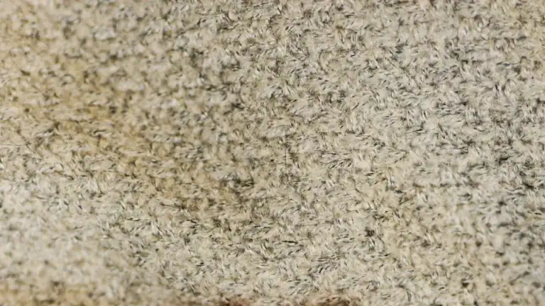 Brittle Toenails: Causes, Fixes, and Essential Care