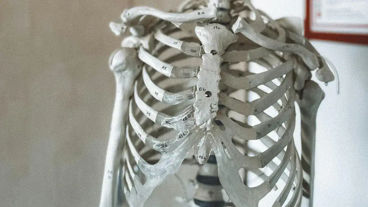 Understanding Chest Pain Sources