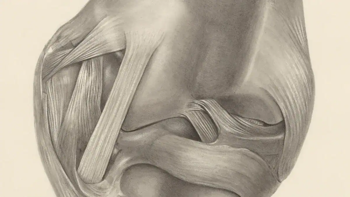 Understanding Upper Arm Pain