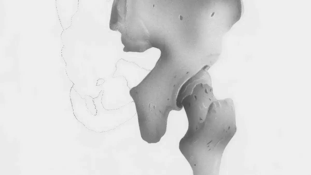 Hip Muscle Anatomy: Essential Glute & Flexor Diagram