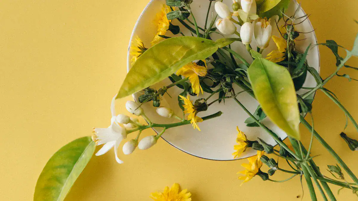 Home Remedies For Headaches: 12 Easy Natural Fixes