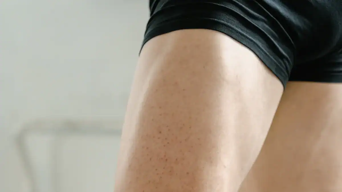 Functions of Thigh Muscles