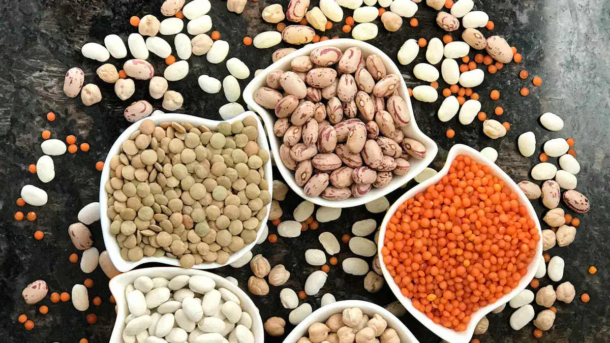 Bean Basics: Nutritional Powerhouse