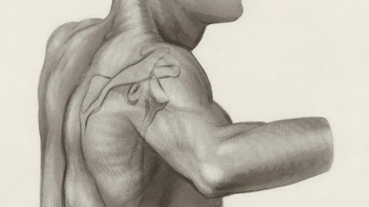 Arm Anatomy Explained: An Overview