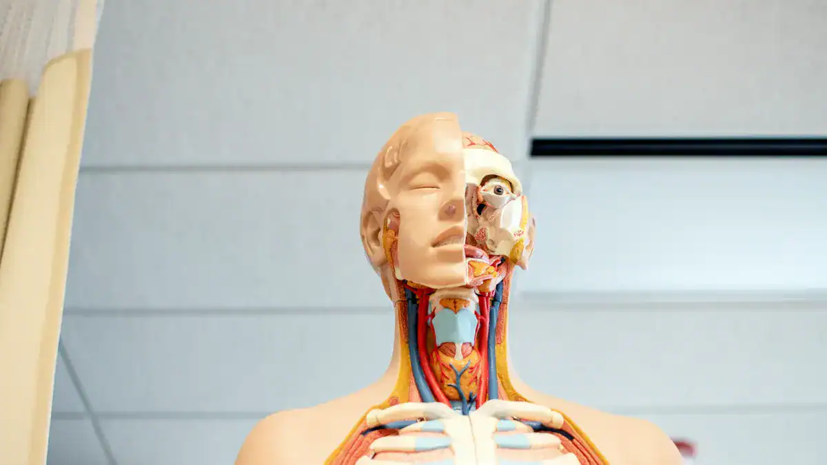 Diagnosing Adam'
                style=