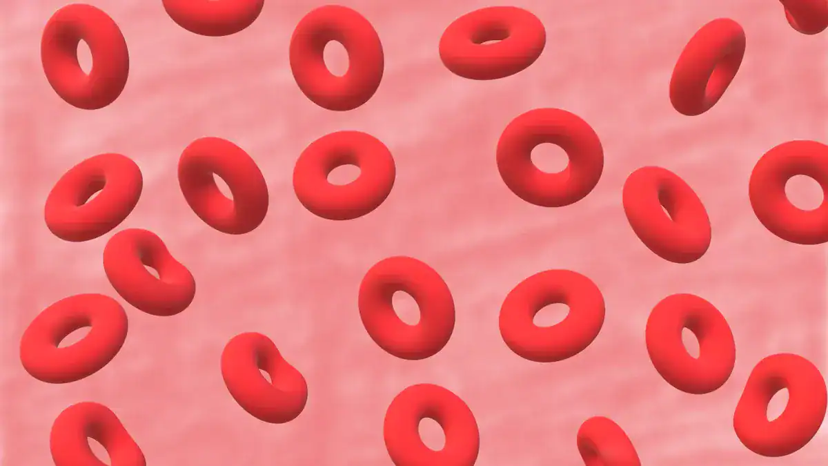 Understanding Your MCV Blood Test