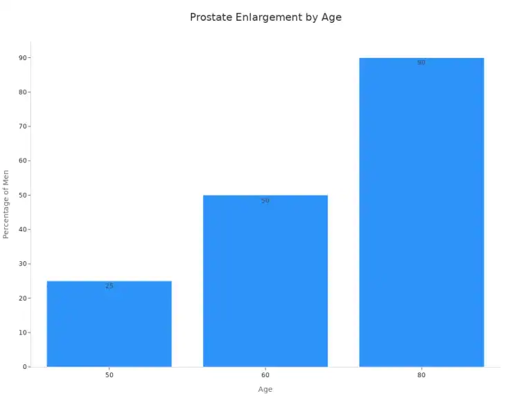 Prostate Gland Size Chart