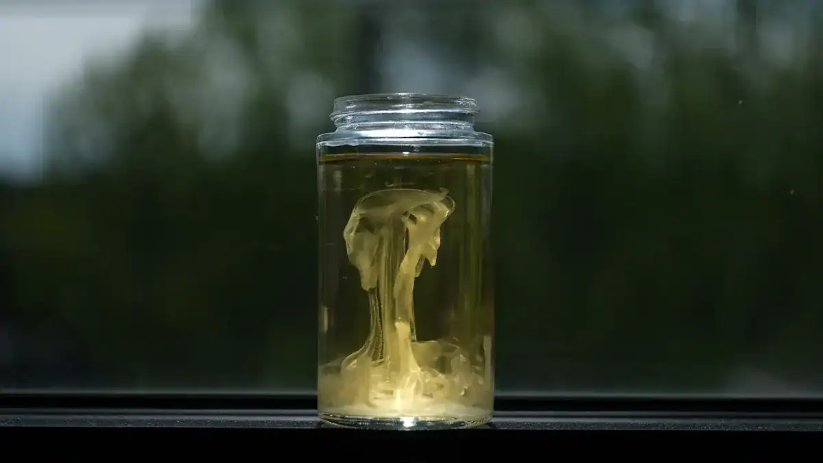 Factors Influencing When You Pee