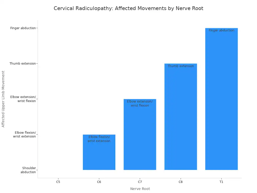A bar chart showing affected upper limb movements for different cervical nerve roots. C5 affects shoulder abduction, C6 affects elbow flexion/wrist extension, C7 affects elbow extension/wrist flexion, C8 affects thumb extension, and T1 affects finger abduction.