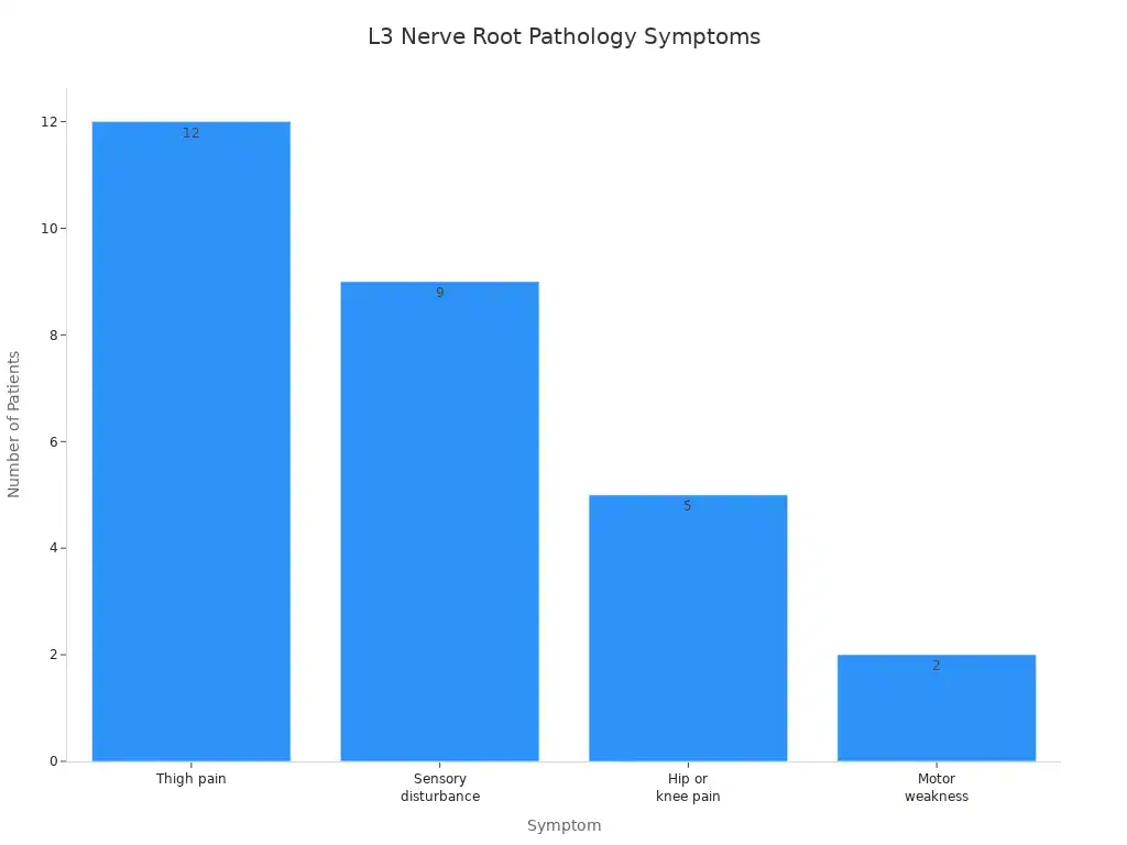 A bar chart showing the number of patients experiencing different neurological symptoms associated with L3 nerve root pathology. Thigh pain is the most common, followed by sensory disturbance, hip or knee pain, and motor weakness.