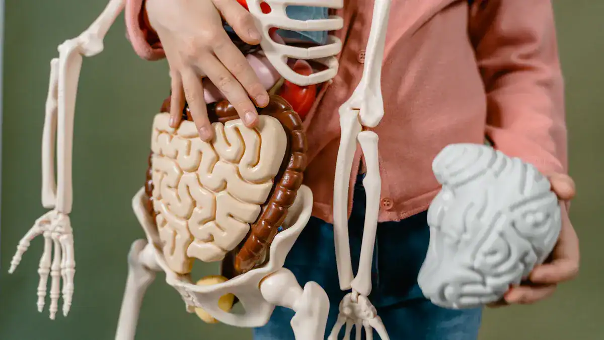 Organ-Related Urgent Conditions