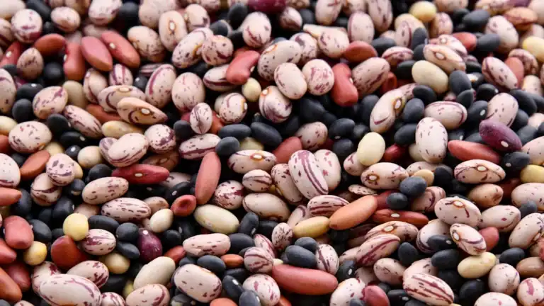 Bean Nutrition Comparison Chart: Ultimate Health Guide