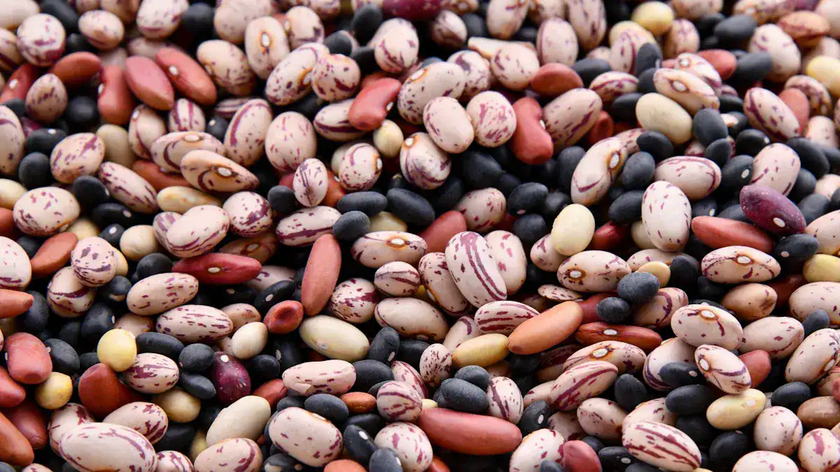 Bean Nutrition Comparison Chart: Ultimate Health Guide
