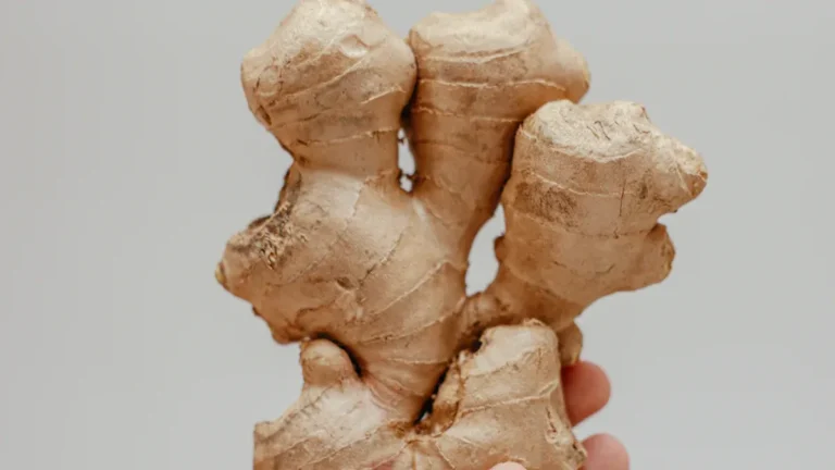 Crystallized Ginger Health Benefits: Digestion & Anti-Nausea Facts