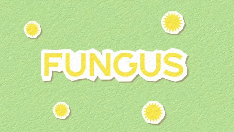 White Toenails: Causes, Diagnosis, Fungus & Treatment