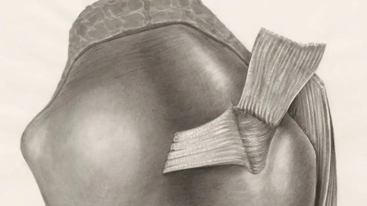 Common Causes of Back Shoulder Pain