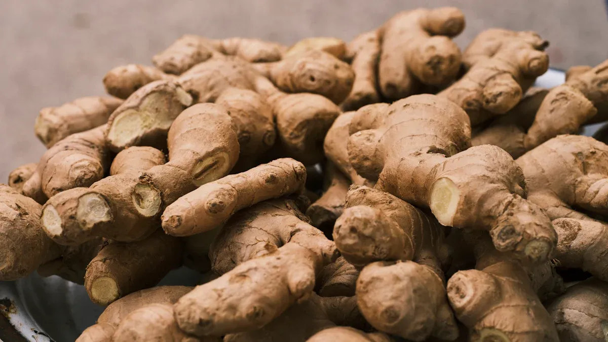 Exploring Ginger Health Benefits for Digestion