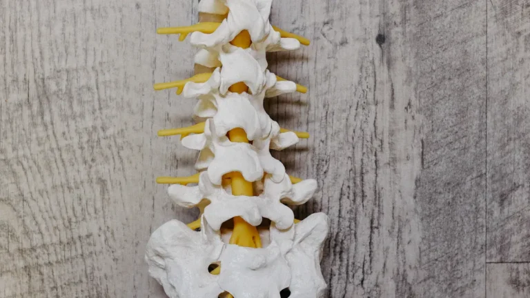 What Causes Waist Pain? Causes, Diagnosis, & Relief