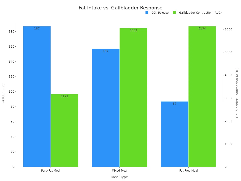 A bar chart comparing CCK release and gallbladder contraction across pure fat, mixed, and fat-free meals. Pure fat meal shows highest CCK and lowest AUC, indicating greater contraction.