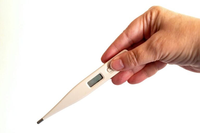 top infrared thermometers 2026