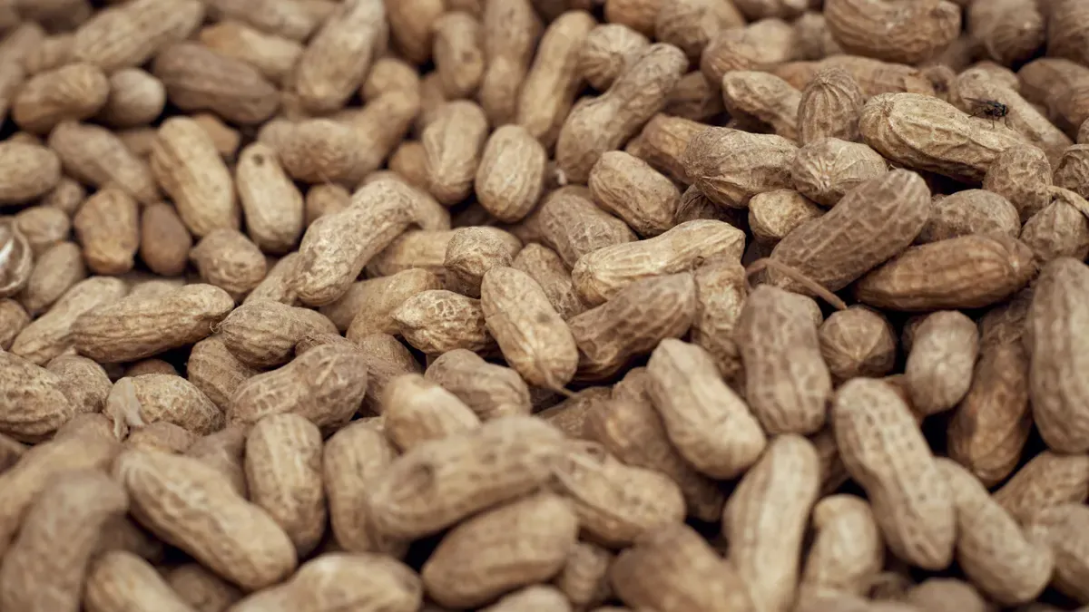 Are Raw Peanuts Crunchy? Understanding Their Nature